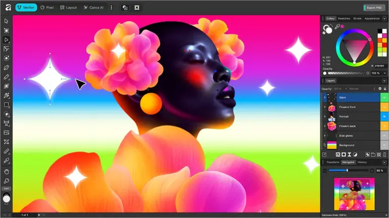 Affinity by Canva