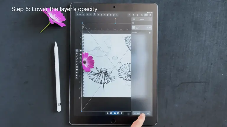 and adjusting opacity of a flower sketch on a tablet with design software