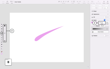Brush tool controls