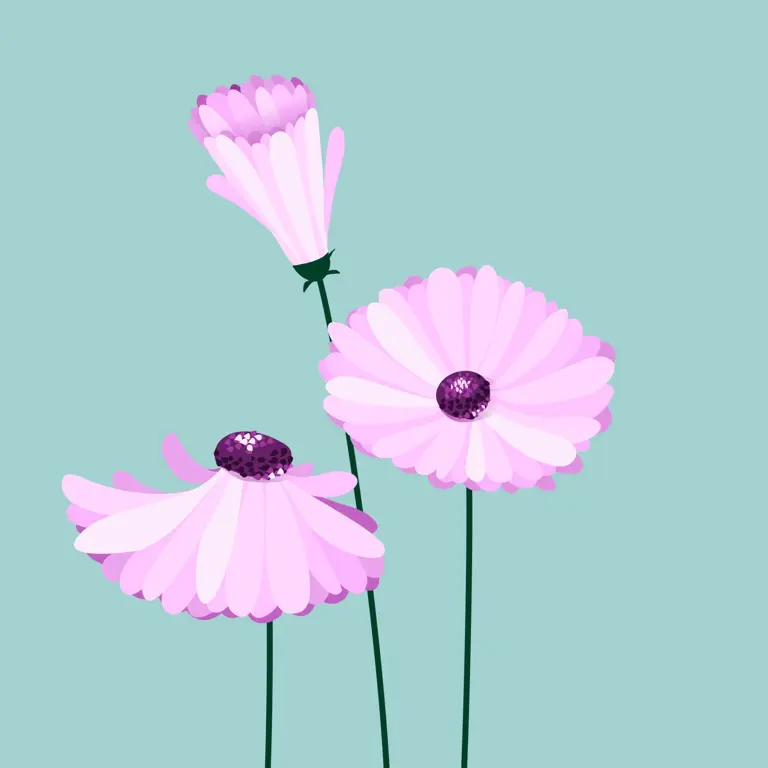 How to draw a flower with vectornator final